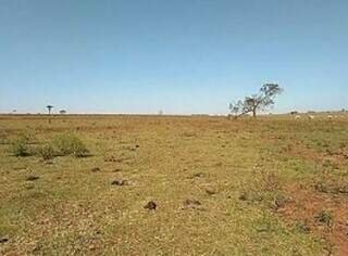 Condomínio de luxo será construído próximo a um sítio arqueológico na Capital