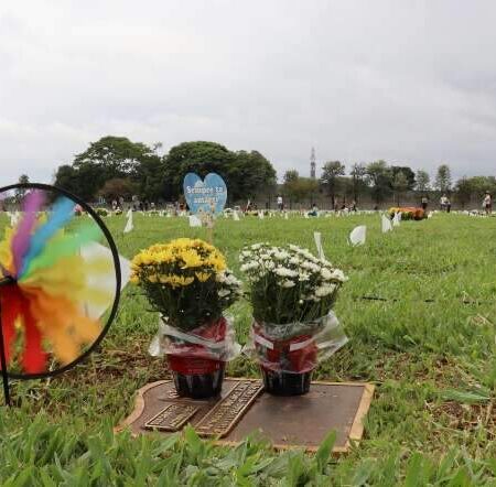 Nem o último endereço escapa: mutirão judicial vai cobrar dívida com cemitérios
