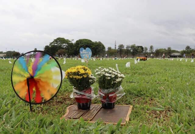 Nem o último endereço escapa: mutirão judicial vai cobrar dívida com cemitérios