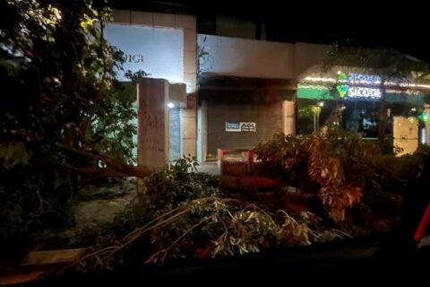 Temporal derrubou árvores, destruiu fachada de vidro e alagou ruas