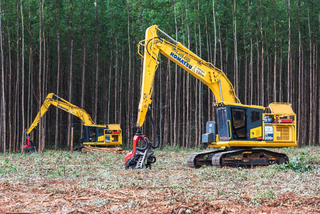 Manutenção em Indústria da celulose leva rede hoteleira ao limite no interior