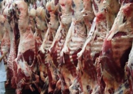 Exportação de carne bovina in natura tem alta de 44% em MS no 1º trimestre
