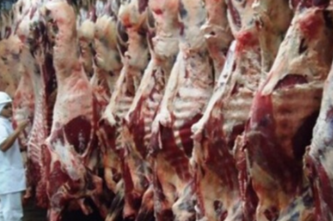 Exportação de carne bovina in natura tem alta de 44% em MS no 1º trimestre