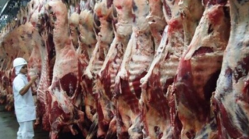 Exportação de carne bovina in natura tem alta de 44% em MS no 1º trimestre