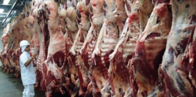 Exportação de carne bovina in natura tem alta de 44% em MS no 1º trimestre