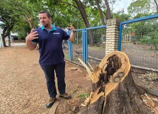 Campo Grande tenta preservar fama de cidade verde sem virar pomar desordenado