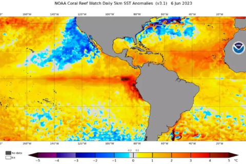Super El Niño ainda é dúvida, mas risco de fogo já preocupa MS