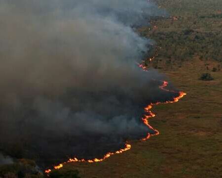 MS teve mais de 1 milhão de hectares em cicatrizes de megaincêndios