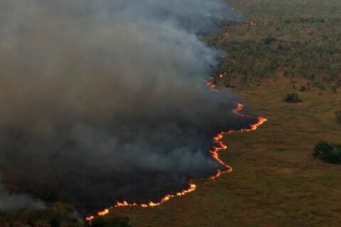 MS teve mais de 1 milhão de hectares em cicatrizes de megaincêndios