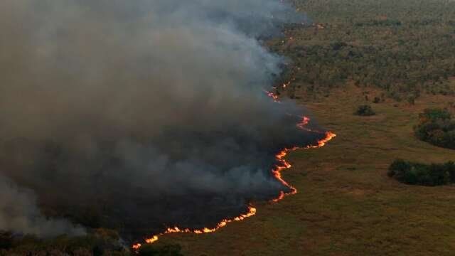 MS teve mais de 1 milhão de hectares em cicatrizes de megaincêndios