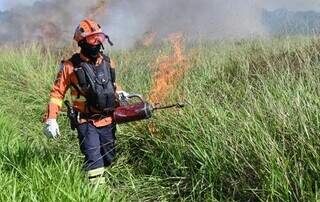 Com risco de super El Niño, Bombeiros reforçam plano contra incêndios em MS Com risco de super El Niño, Bombeiros reforçam plano contra incêndios em MS