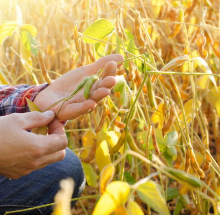 Curso gratuito reúne estudantes de agronomia com foco em tecnologia