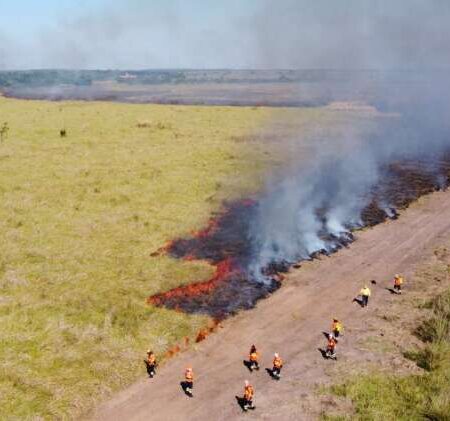 Campanha "Fogo Zero" vai debater combate a incêndios florestais em MS