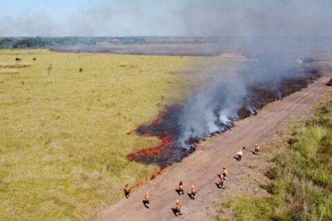 Campanha "Fogo Zero" vai debater combate a incêndios florestais em MS