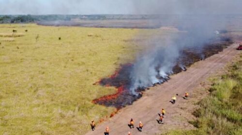 Campanha "Fogo Zero" vai debater combate a incêndios florestais em MS