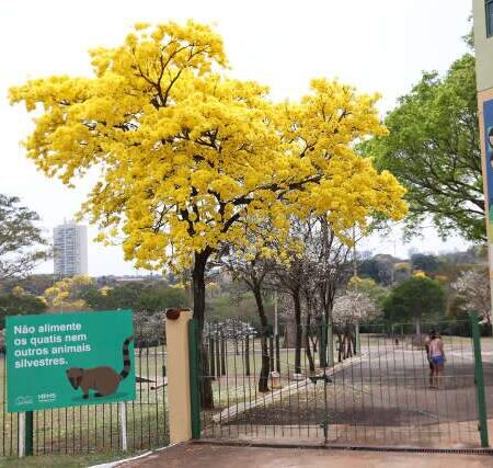 Parque das Nações terá vacinação contra a gripe neste sábado