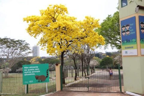 Parque das Nações terá vacinação contra a gripe neste sábado