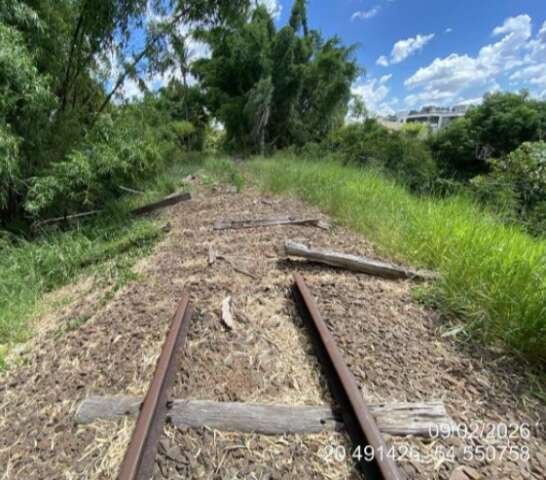 Furto de 1,6 km de trilhos leva Rumo a pedir reintegração de posse de área