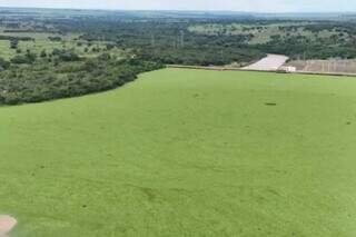 Sem análise completa, plantas dominam Rio Pardo há mais de 1 ano