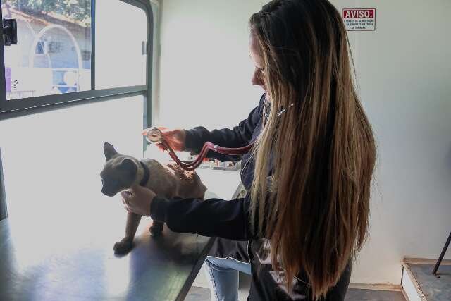 Pets terão atendimento gratuito na Praça do Papa a partir de segunda-feira