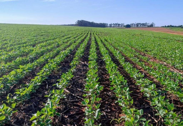 Agro propõe ampliar Desenrola Rural e mudar recuperação judicial