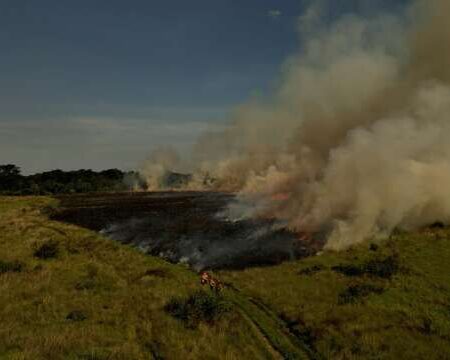 Com risco de super El Niño, Bombeiros reforçam plano contra incêndios em MS