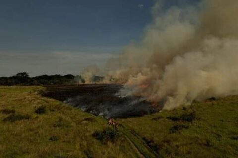 Com risco de super El Niño, Bombeiros reforçam plano contra incêndios em MS