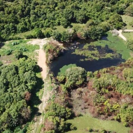 Projeto prevê criação de Parque Zoobotânico em antiga área de conservação