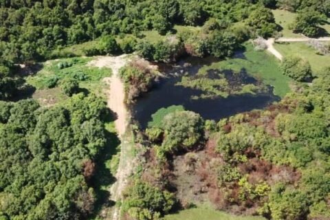 Projeto prevê criação de Parque Zoobotânico em antiga área de conservação