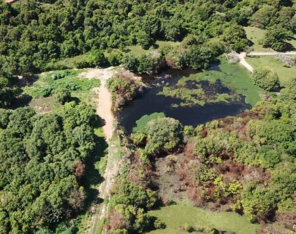 Projeto prevê criação de Parque Zoobotânico em antiga área de conservação