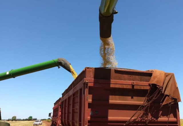 Colheita da soja atinge 99,8% da área plantada em MS