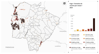 MS teve mais de 1 milhão de hectares em cicatrizes de megaincêndios