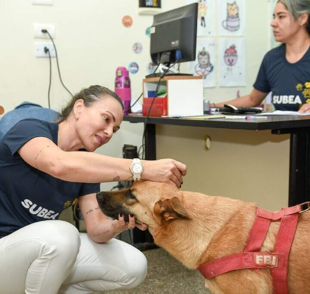 Consultório móvel da Subea atende pets no Caiçara nesta semana