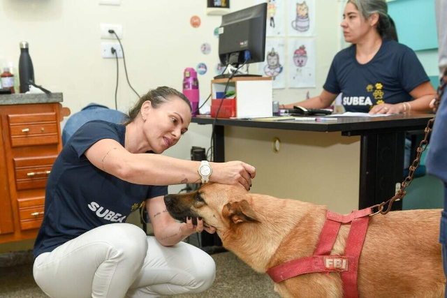 Consultório móvel da Subea atende pets no Caiçara nesta semana