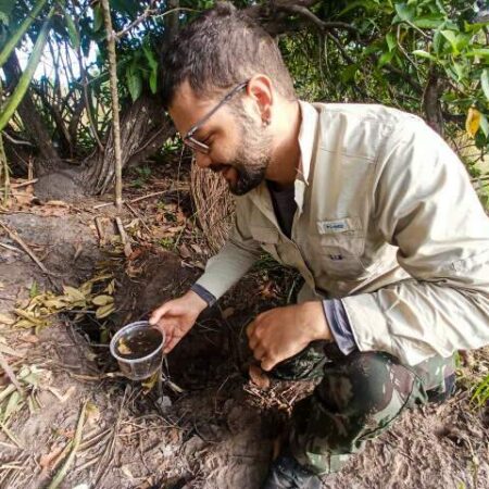 Tocas de tatu-canastra viram refúgio para rãs durante seca no Pantanal