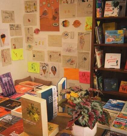 Livro parado na estante vira moeda de troca em nova feirinha deste sábado