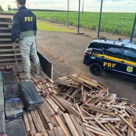 Cães encontram 1,1 tonelada de maconha escondida em carreta