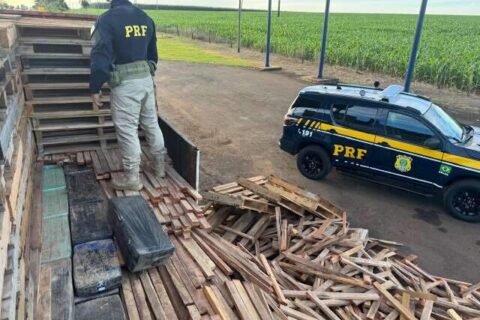 Cães encontram 1,1 tonelada de maconha escondida em carreta