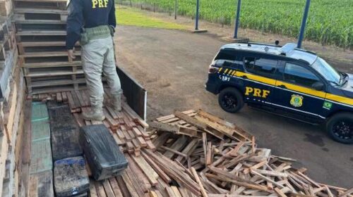 Cães encontram 1,1 tonelada de maconha escondida em carreta
