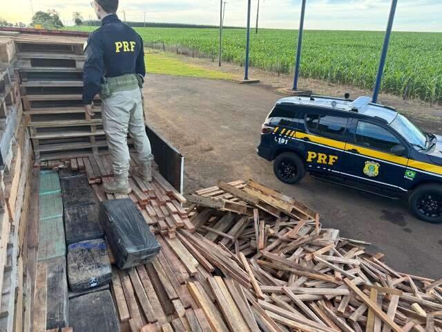 Cães encontram 1,1 tonelada de maconha escondida em carreta