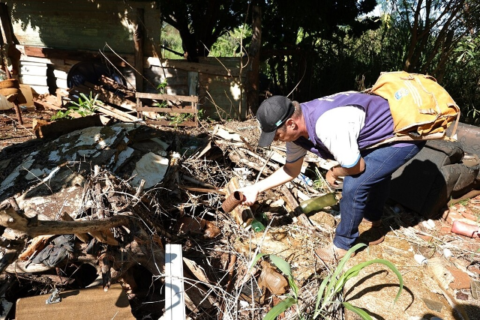 Bonito confirma 3ª morte por chikungunya e MS soma 16 óbitos