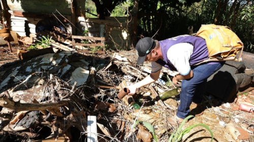 Bonito confirma 3ª morte por chikungunya e MS soma 16 óbitos