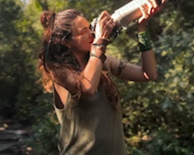 Tucano vira pintura viva diante de documentarista no Pantanal