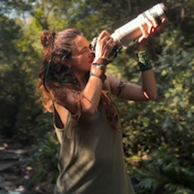 Tucano vira pintura viva diante de documentarista no Pantanal