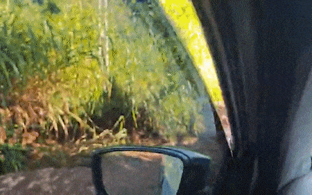 Morador denuncia erosões e dificuldade para trafegar na Estrada NE-2 após chuva