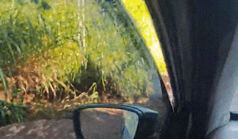 Morador denuncia erosões e dificuldade para trafegar na Estrada NE-2 após chuva