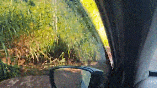 Morador denuncia erosões e dificuldade para trafegar na Estrada NE-2 após chuva