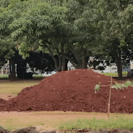Antes uma praça, área disputada na Justiça hoje abriga montanhas de terra