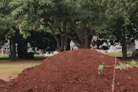 Antes uma praça, área disputada na Justiça hoje abriga montanhas de terra