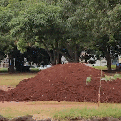 Antes uma praça, área disputada na Justiça hoje abriga montanhas de terra